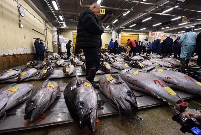 核污水要回日本_日本处理核污水花了多少钱_日本核污水入海中国怎么办